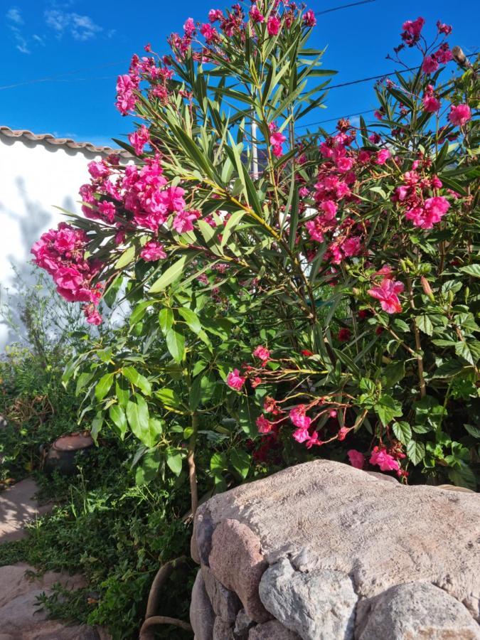 Flores De La Villa Huayoccare Zewnętrze zdjęcie